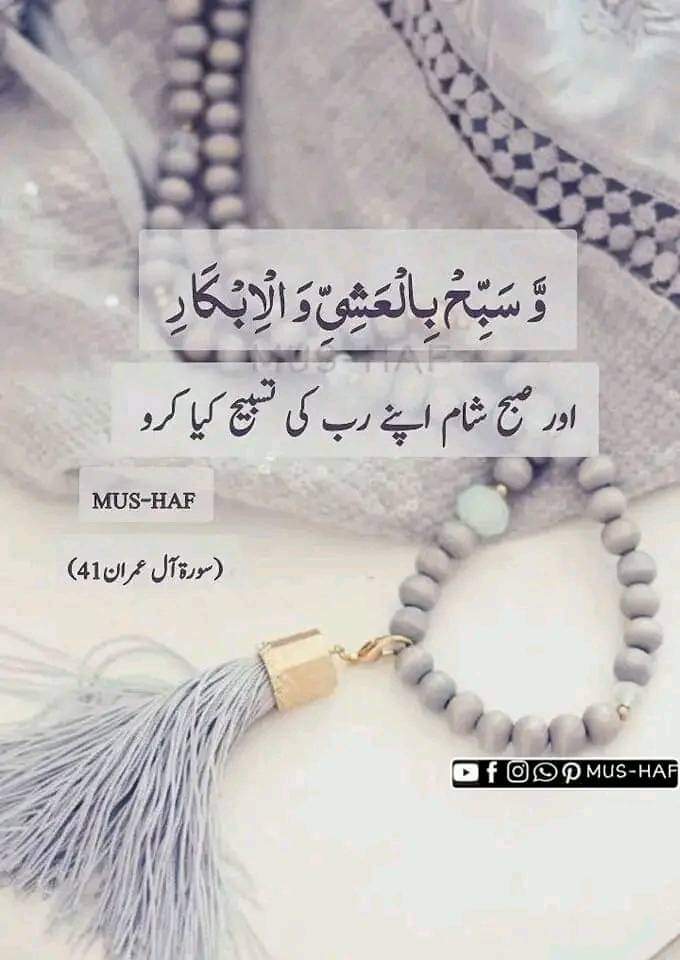 اسلام علیکم رحمت اللہ وبرکاتہ 🥀🌿
صبح بخیر 🥀