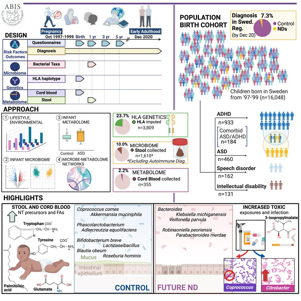 A dizzying wealth of information in this one! Using the 'All Babies of Sweden' (ABIS) birth cohort incl. 20y follow-up (n=16440), this work identifies factors, microbes and associated metabolites in infants linked to future neurodev. disorders (NDs). sciencedirect.com/science/articl…