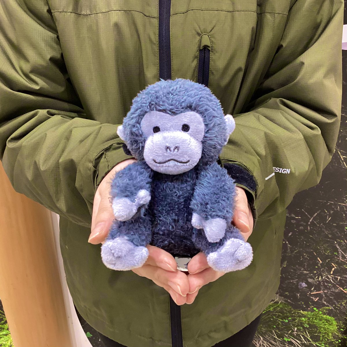 GKSPiPqbUAAeZ2g.jpg?format=jpg