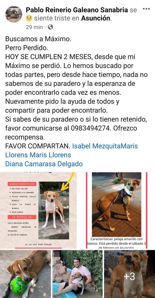 Isabel Mezquita tweet media