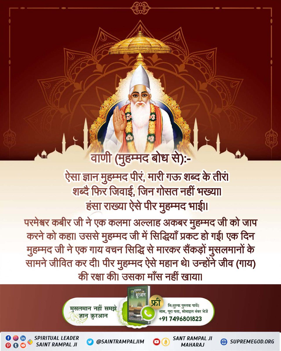 #कादर_अल्लाह_कबीर
ऐसा ज्ञान मुहम्मद पीर, मारी गऊ शब्दके तिरम।
शब्दै फिर जिवाई, जिन गोसत नही भाख्या।
हंसा राख्या ऐसे पीर मुहम्मद भाई।
अर्थ:- कबीर जी ने एक कलमा अल्लाह अकबर मुहम्मद जी को जाप करने को कहा है मुहम्मद जी में सिद्धियां प्रकट हो गई  औरउन्होंने ने गाय मारकर जीवित कर दिया
