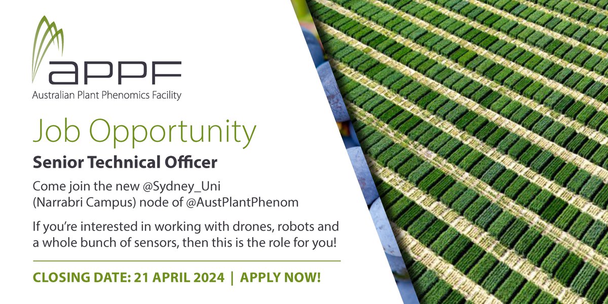 JOB OPPORTUNTITY: New AAPF node @Sydney_Uni, Narrabri Campus, has an opportunity open for a Senior Technical Officer. If you're interested in working with drones, robots & sensors, then this role is for you! Applications close 21 April. Apply here: usyd.wd3.myworkdayjobs.com/USYD_EXTERNAL_…