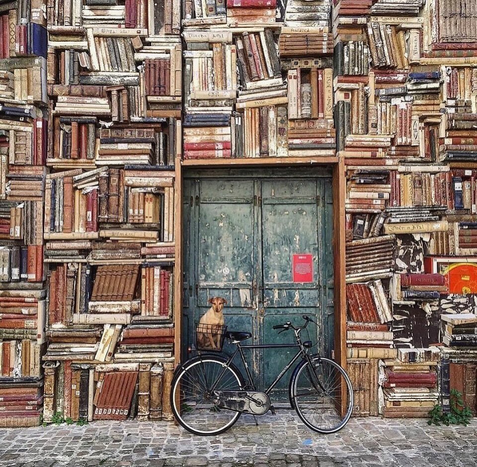 Pesaro, Italy 🇮🇹

The Palazzo Mosca has a scenic wall transformation that resembles an open-air bookstore adorned with the sets from the Rossini Opera Festival.

📸robi_ciaffoni