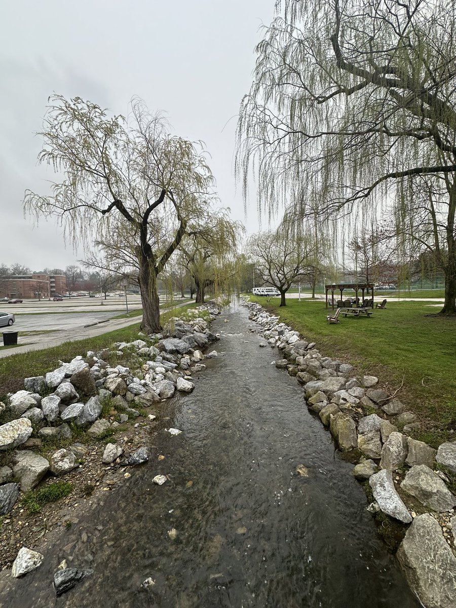 AidanPorter's tweet photo. The creek has to be my favorite scenic spot on campus, there is nothing better than listening to the trickle (or sometimes roar) of the water as I head to class! #SPM230 #YCPhunt https://t.co/nP58mpdqlF