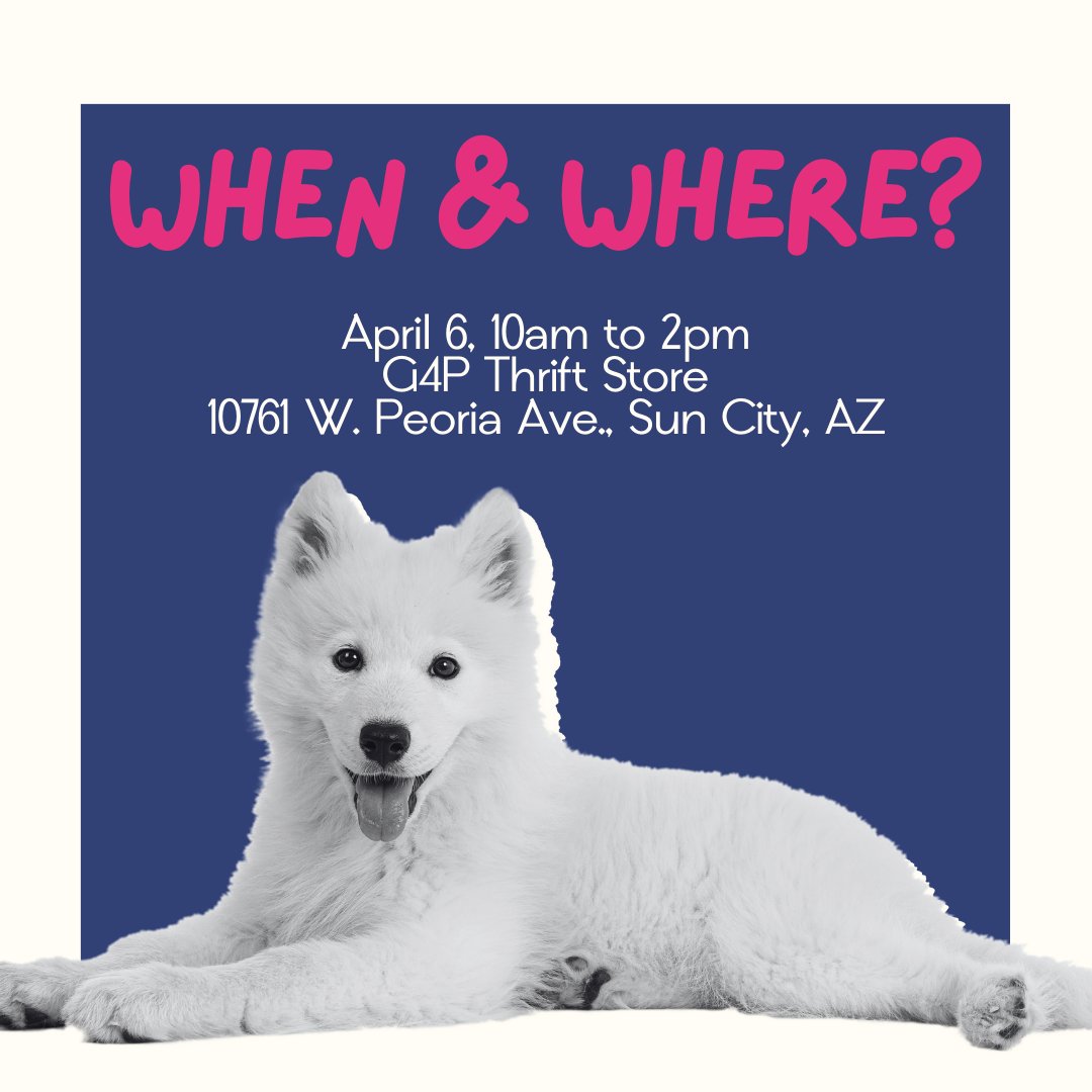 Giving4P's tweet photo. 😱 FREE PET CHIPPING AND WELLNESS CHECK + 50% OFF ALL STORE ITEMS? You heard that right! 😱
🦮 Join us at the G4P Thrift Store this Saturday (April 6) between 10am to 2pm for this free event!
📍 10761 W Peoria Ave., Sun City, AZ
#giving4pets #arizona #petlovers #AZpets https://t.co/ep4vthUOgh