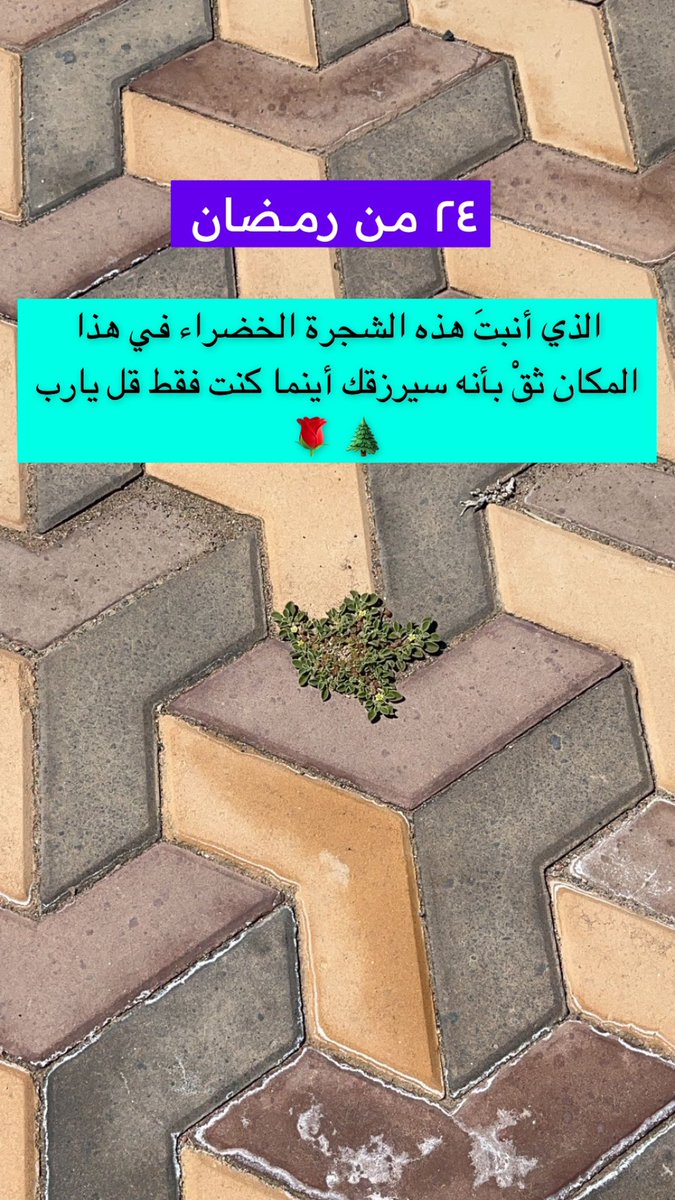 حي النسيم 🛑 #كلنا_مسؤول 🇸🇦 tweet media