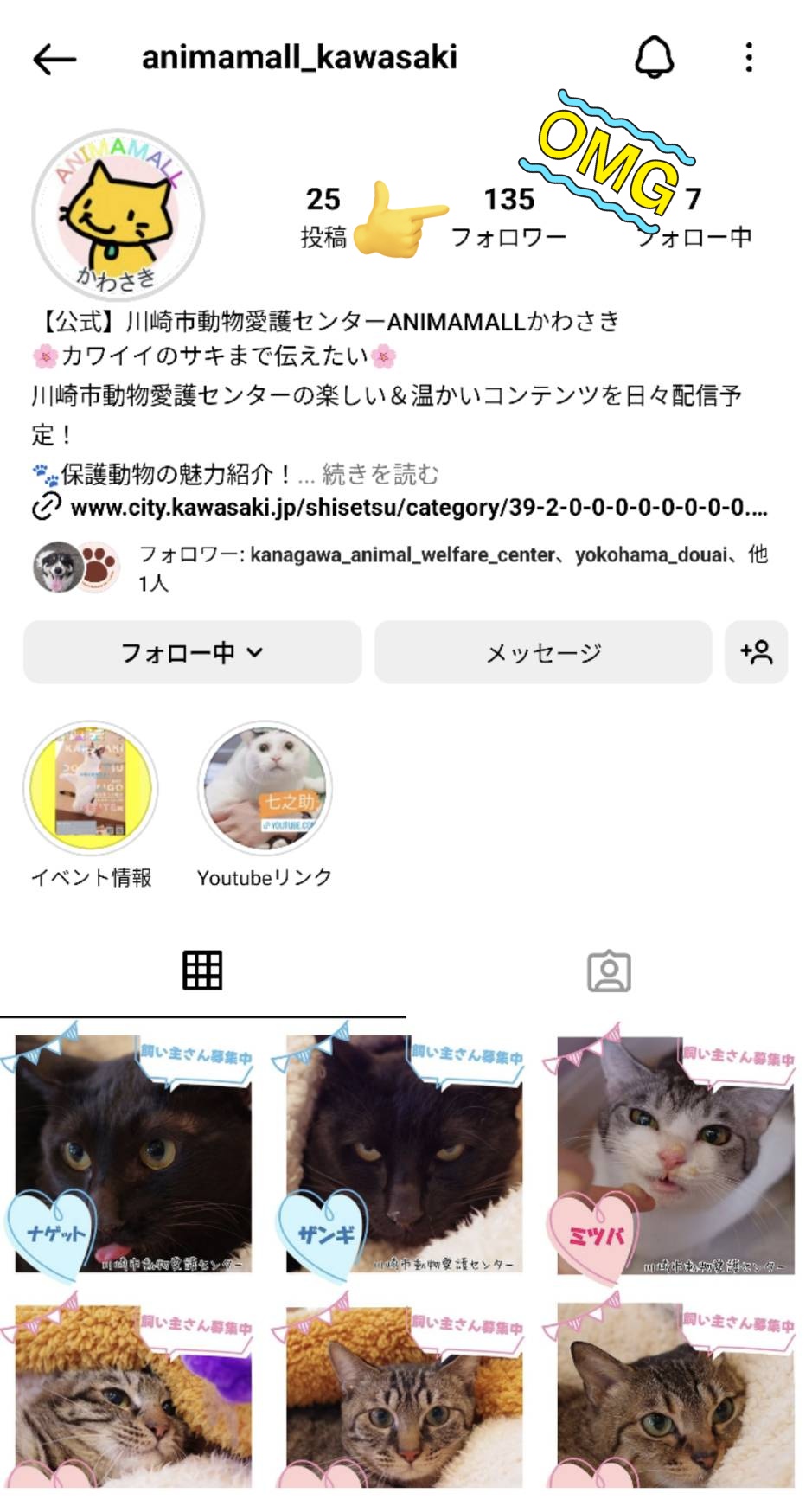 かわさきひまわり確認ページ ご契約内容の確認方法 | 【公式】SOMPOひまわり生命保険