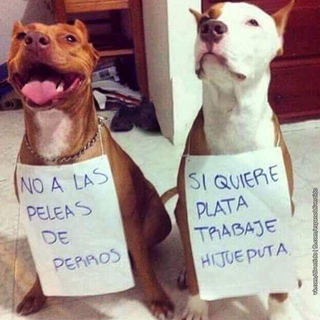 GRamirezF_D12's tweet photo. El mensaje es muy Claro.
Si quieres dinero.,
PONTE A TRABAJAR.! 🎗️ https://t.co/0OiijUhh6K