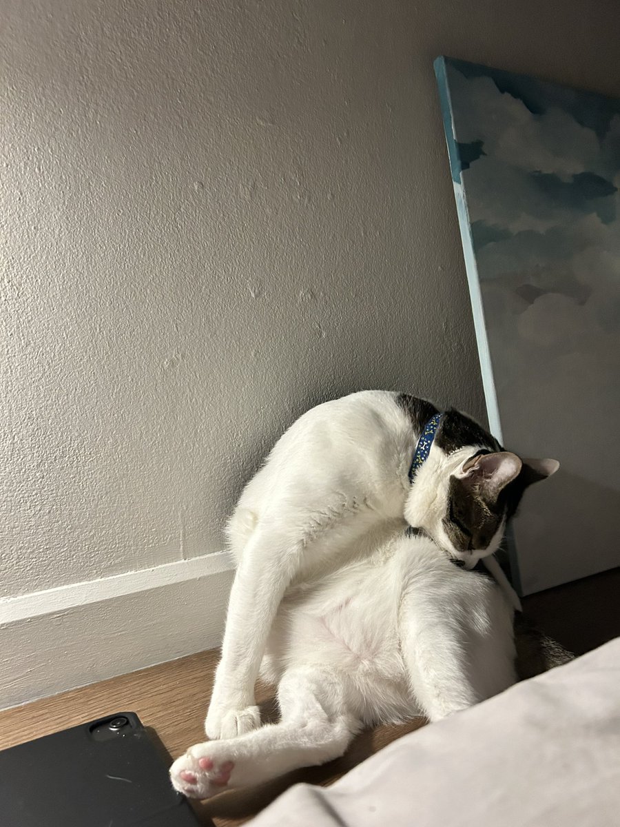 asrhmint's tweet image. 🫧
#panpanmeme2024