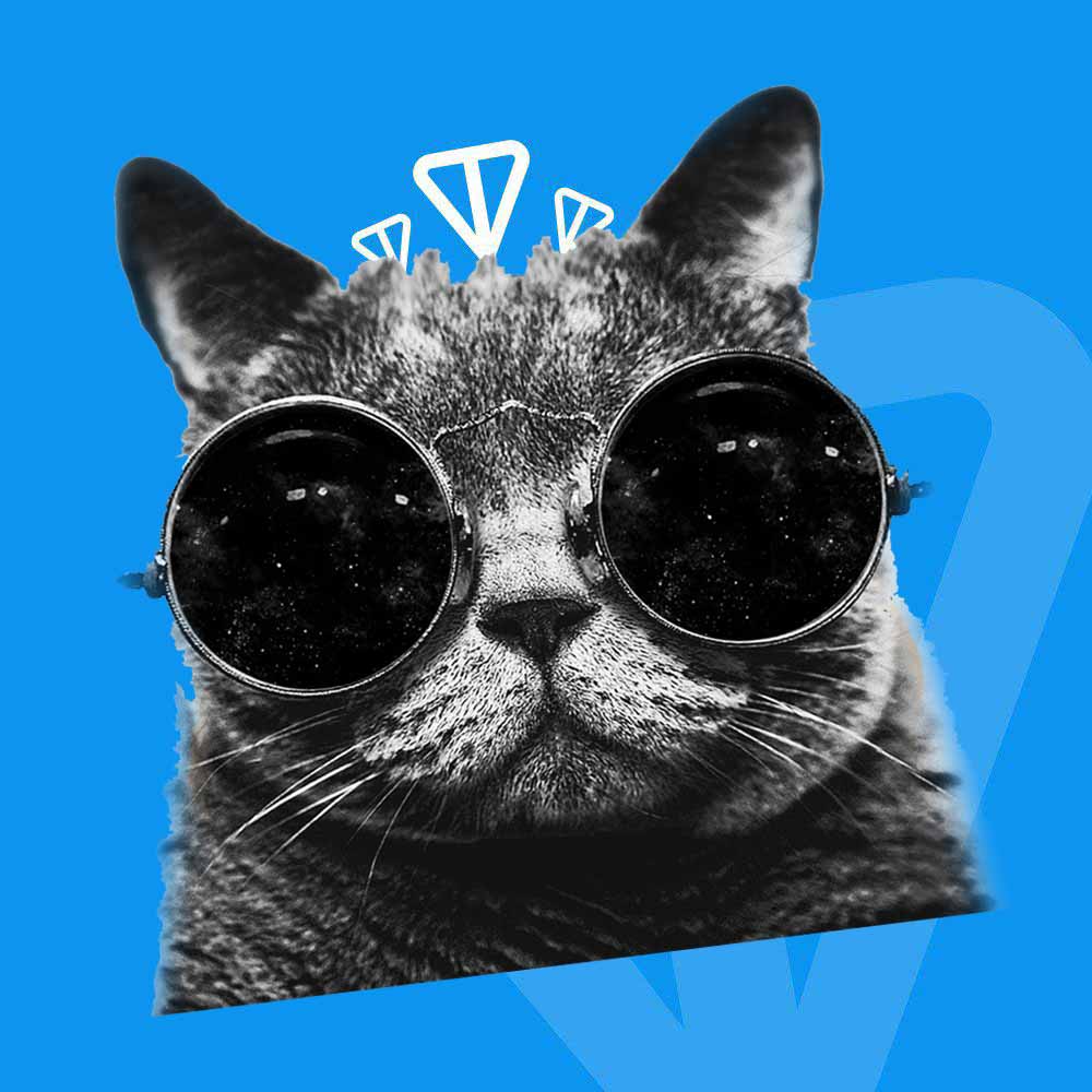 CatTonEmojis's tweet photo. Community of $CAT love.🐱

WE ARE STILL HERE

✅CA : 
EQAApzIfA-vfYmqpyzmYCKR15CLlcz33tEJPfvgH68heBITn
✅BUY :
 https://t.co/69fApPgxt3
✅CHAR : https://t.co/MbFaiyy890
✅WEB : https://t.co/zT6uSbJAzm