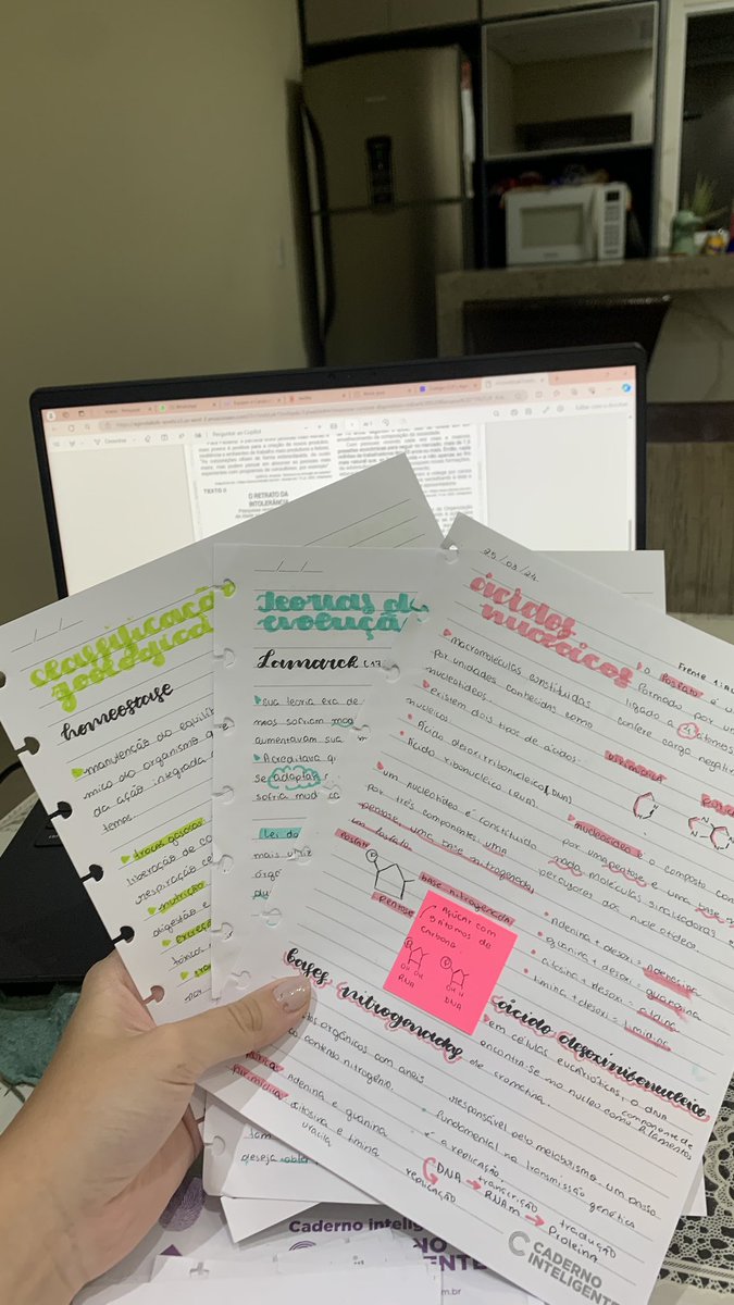 soobnotes's tweet image. podem falar oq quiserem dos resuminhos coloridos, mas eles sempre serão meus favoritos 💗💗💗