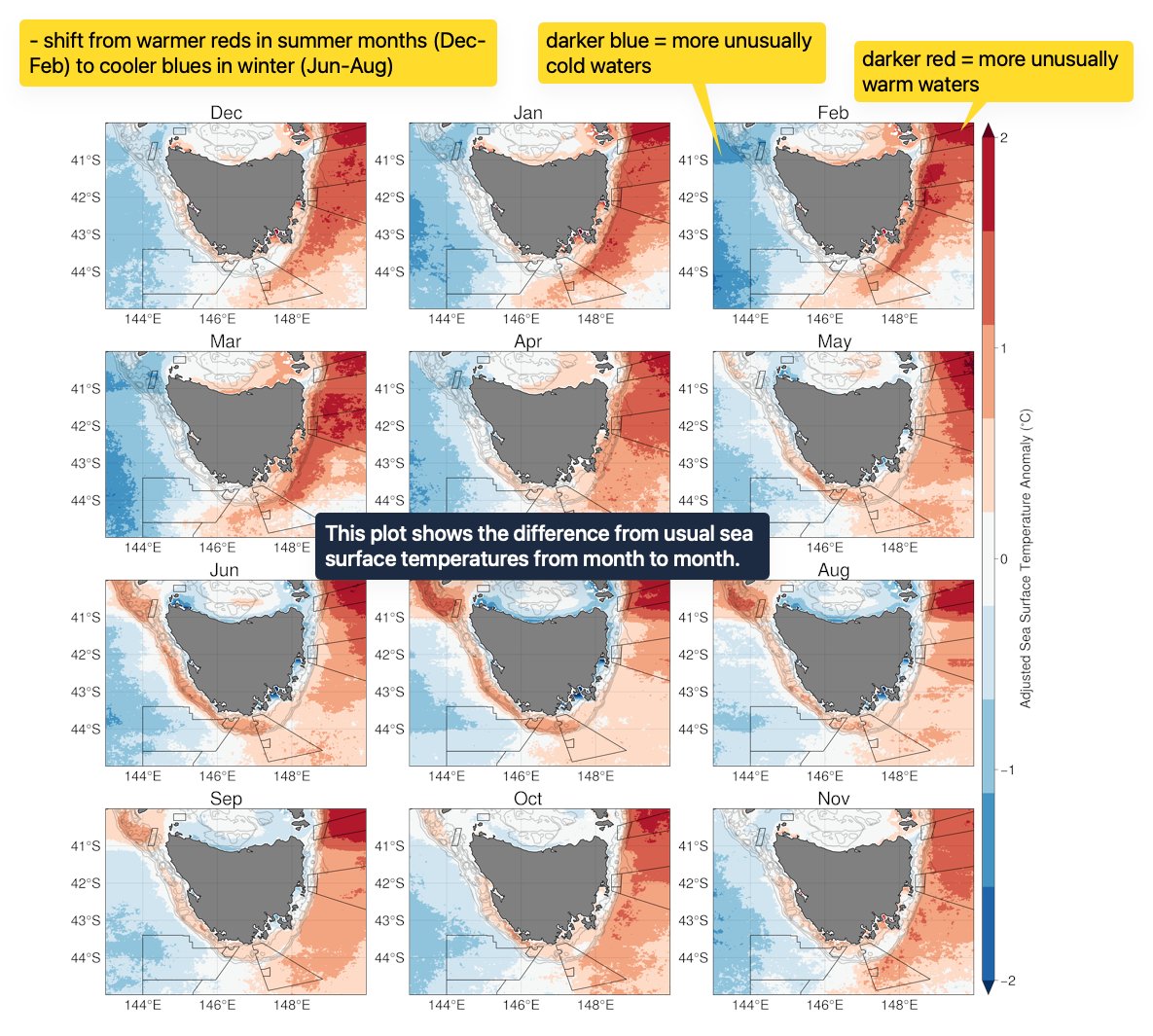 Did you know our oceans' health changes with the seasons, just like our weather? That's one of the things being studied in the Tasman Fracture Marine Park “Our Marine Parks Grant” project. The goal is to figure out how these changes affect marine life, like the Tasmanian...