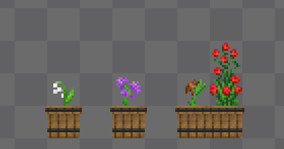 CherrySquared tweet media