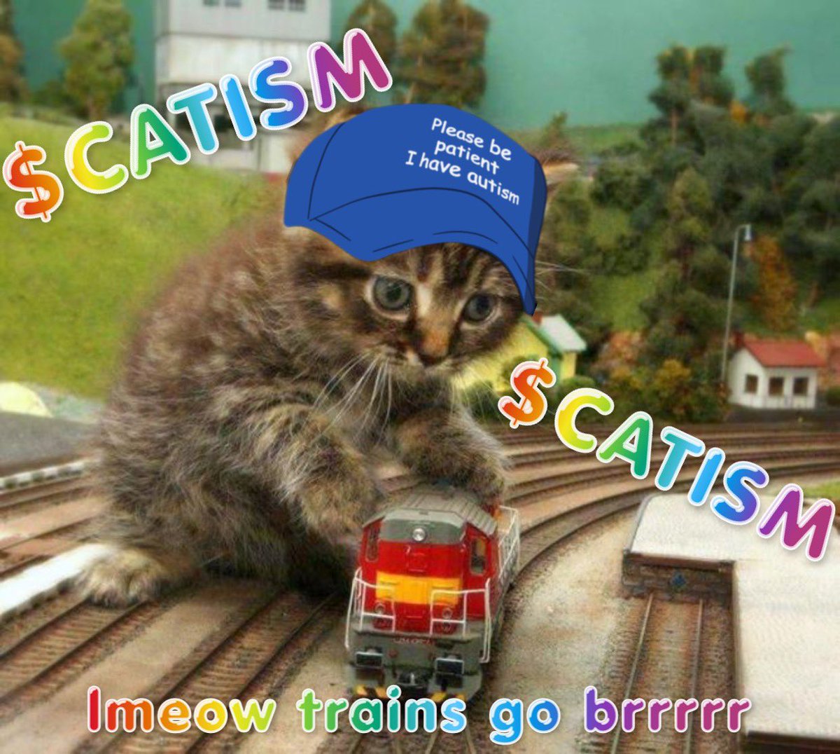 AutismCatSolana's tweet photo. @blknoiz06 100x your cats autism https://t.co/hJKwknnzFW