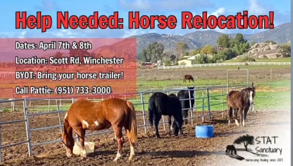 WaywardDaughtrs's tweet photo. Please share: anyone with access to horse trailers in the Southern California area, your help is needed to relocate horses at Stat Sanctuary. See the details here, and please help spread the word. https://t.co/Y64t920qAB https://t.co/XWnS8GGMCE