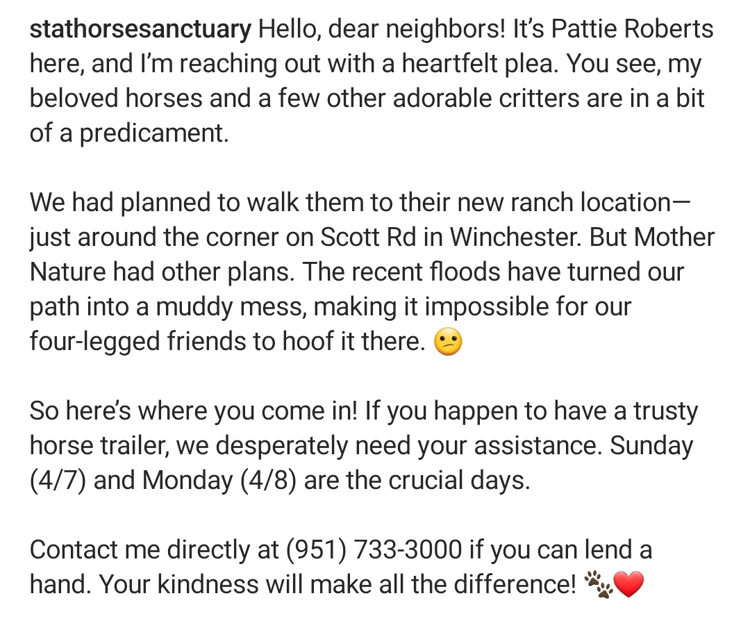 WaywardDaughtrs's tweet photo. Please share: anyone with access to horse trailers in the Southern California area, your help is needed to relocate horses at Stat Sanctuary. See the details here, and please help spread the word. https://t.co/Y64t920qAB https://t.co/XWnS8GGMCE