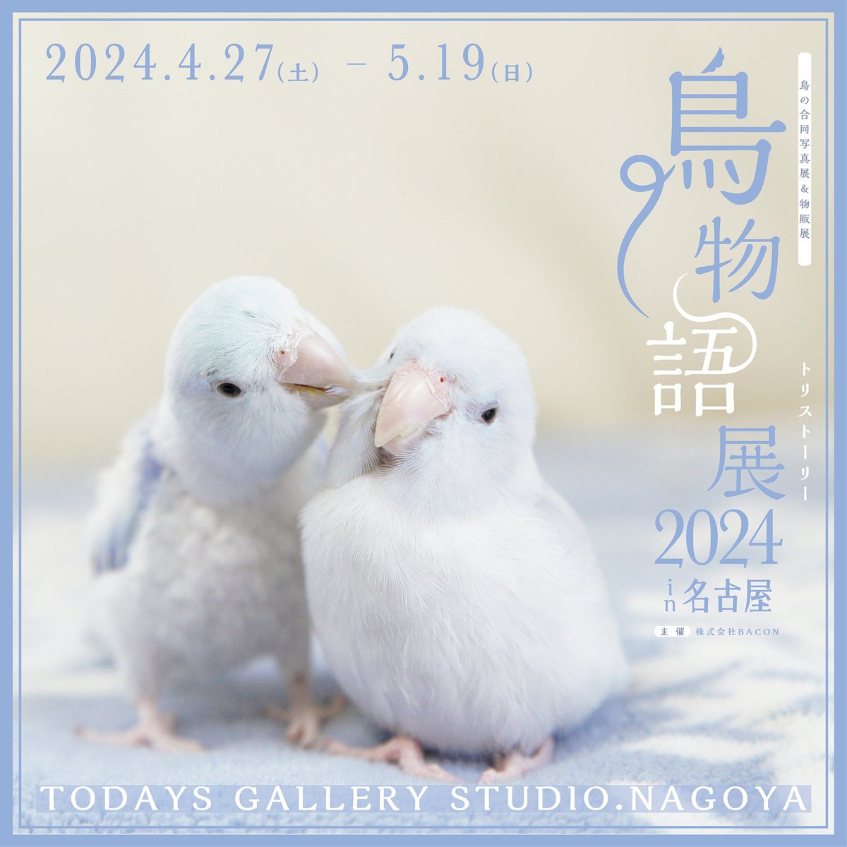 【鳥物語トリストーリー展 2024 in 名古屋】
に参加させて頂きます🐥

展示のみの参加ですが、書き下ろしたイラストを飾らせて頂きます🖼️✨
皆様のお越しをお待ちしております☺️

📝詳しくはこちら
https://t.co/tg5pqwWlEU

🟡イベント期間
2024年4月27日(土)～5月19日(日)

#鳥物語展 #物語展名古屋 