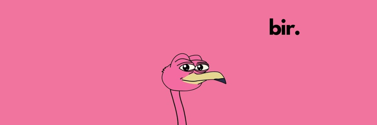 Silly silly dev, Bir has patience. Bir never leaving. Bir here to stay.

CTO: t.me/bironsolana

$BIR