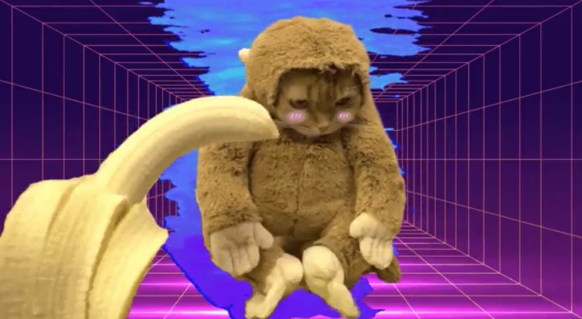 MonkeyCatSolana's tweet photo. @CryptoMessiah23 come on, try some banana https://t.co/vzDlgJXvg7