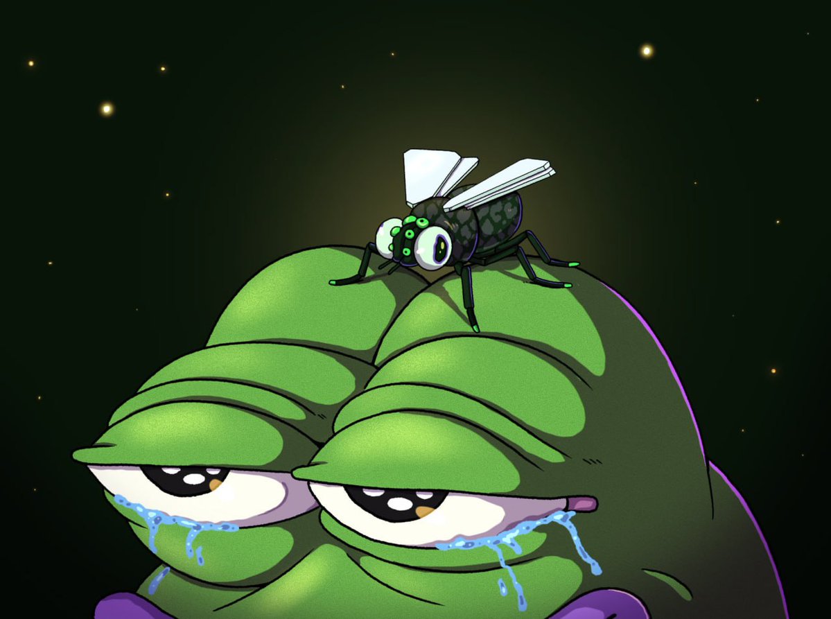 $FLIES on Base tweet media