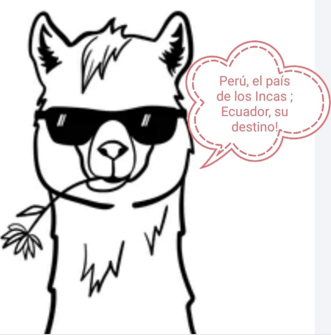 Tour Guide And Driver Ecuador tweet media