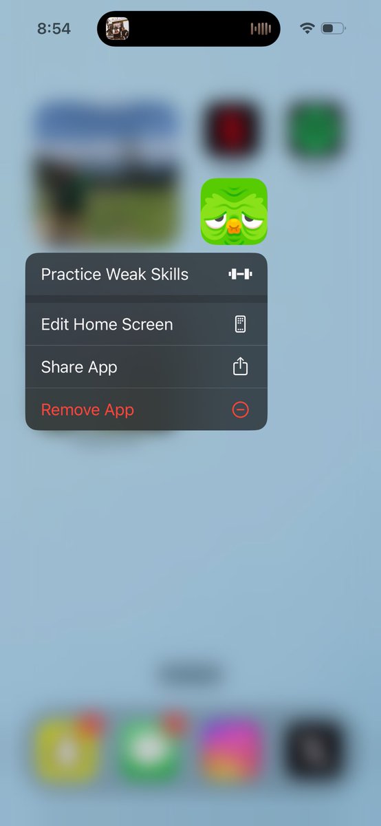 My <a href="/duolingo/">Duolingo</a> bird looking like this has me so stressed