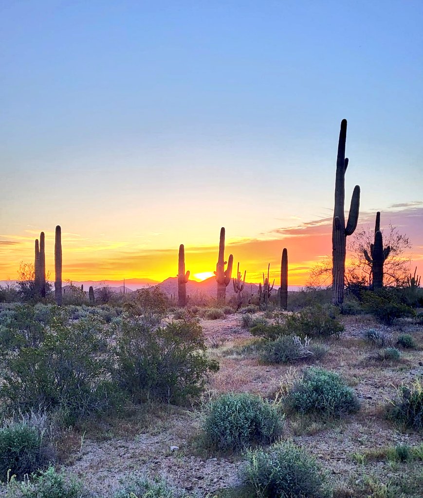 I love where I live😍 #Arizona