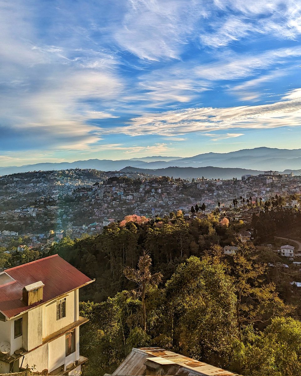 abrahamrohan's tweet photo. Kohima.
8 km jog. 64km for 2024.
Jail Colony to Science College
#Nagaland #Running #WalkNagaland #Fitness #Kohima #Jotsoma #HuffPuff https://t.co/iMFO1drlY6