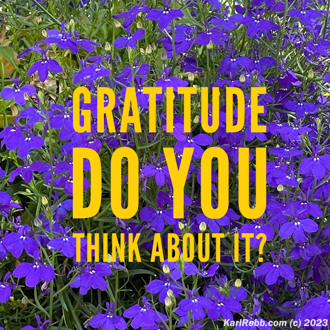 karl robb tweet media