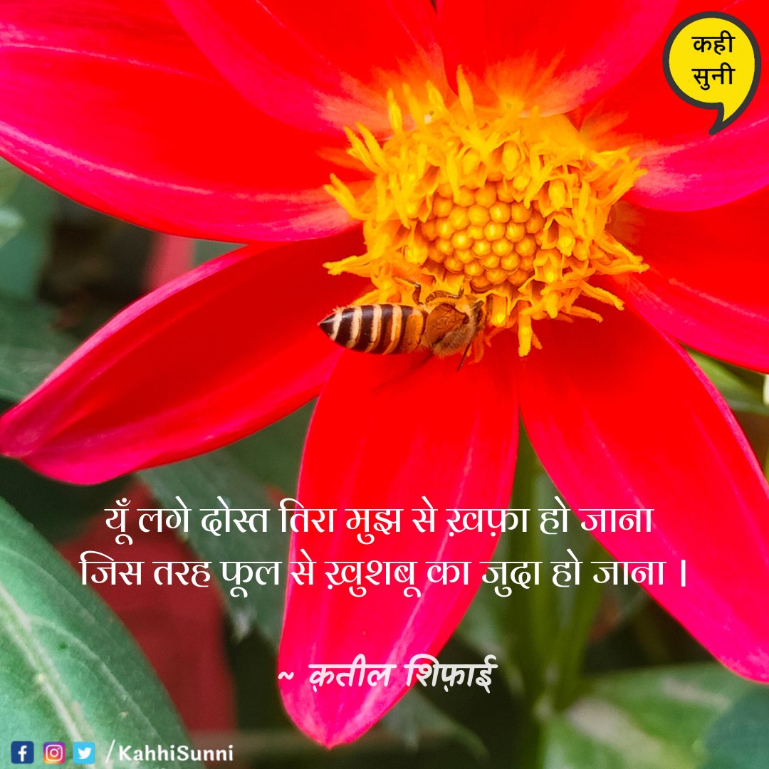 KahhiSunni's tweet photo. कवितापर्ची
📸
#TheKahiSuniProject #KahiSuni #kavitaparchi #poetry #poetrylove #hindikavita #poets #imagepoetry #mobilephotography #photooftheday #spring https://t.co/RNhPzQPwjS
