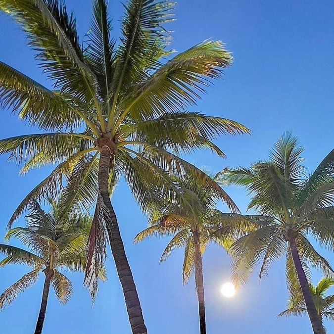 i06renjun's tweet image. the older brother | #jaeren 

Renjun acaba de terminar una relación y su amigo jisung le propone que hagan un viaje 

No contaba con que Jaehyun, el hermano mayor de Jisung iría con ellos y su grupo de amigos