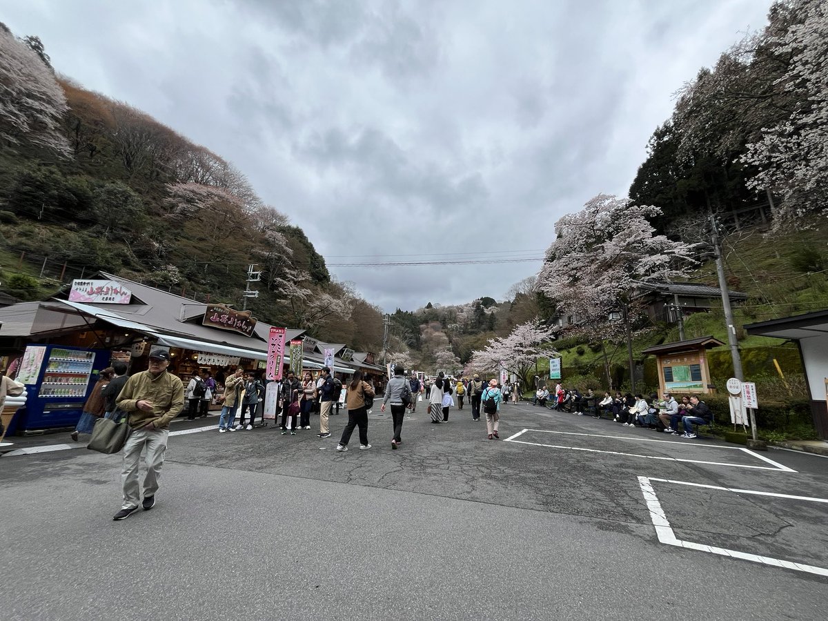本日は撮影会です！

吉野に来ております