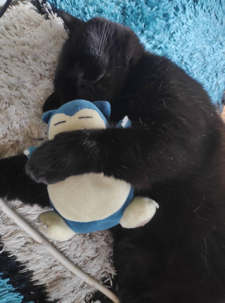 Na tempinho { ou tempão } que eu estava fora eu achei uma pessoinha