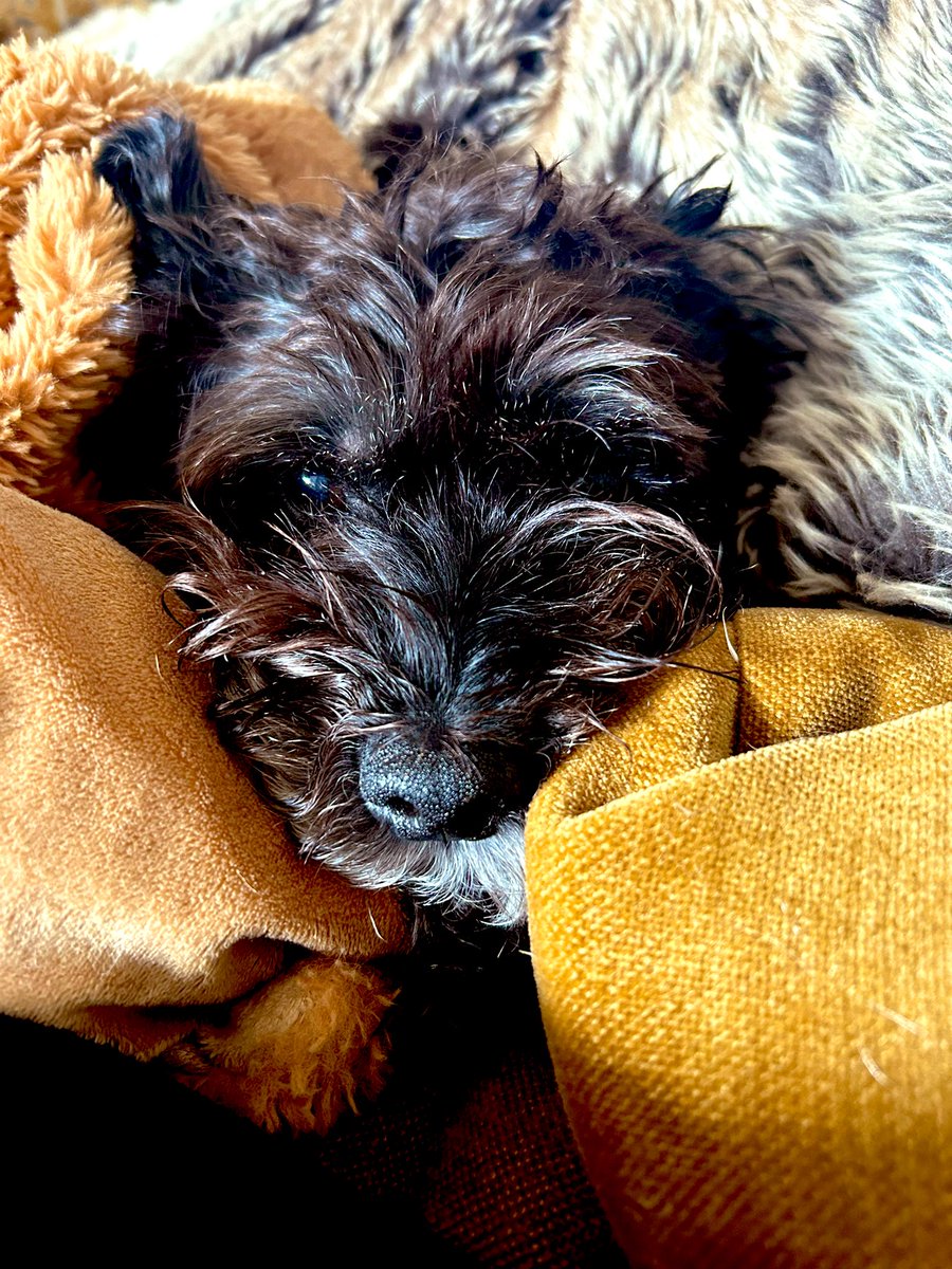 L A U R A 🌍 tweet media