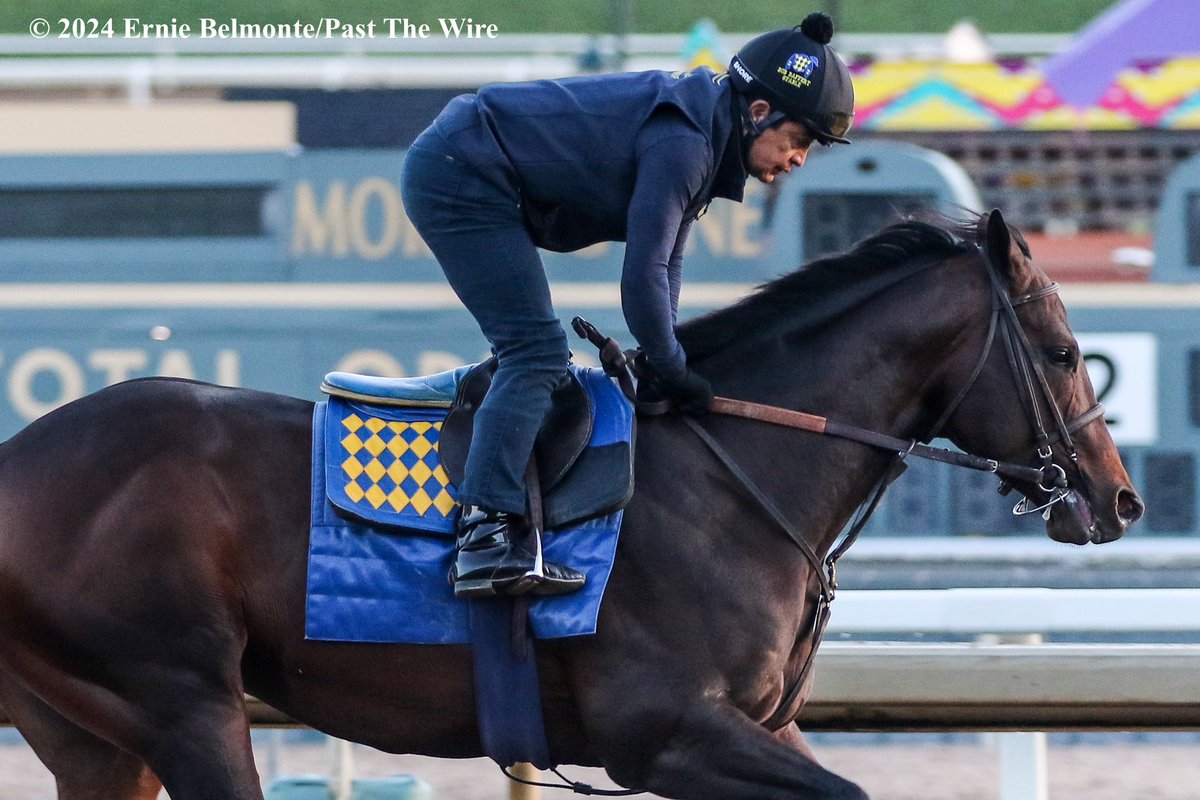 Prince of Monaco galloping this morning.