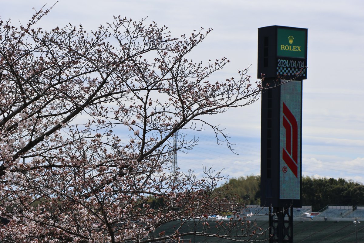 suzuka_event's tweet photo. 現在の鈴鹿サーキットの桜の開花状況です。
場所によりけりですが2〜3分程度の開花状況ですね🌸
 #F1JP #JapaneseGP https://t.co/4rZhJ6fwTs