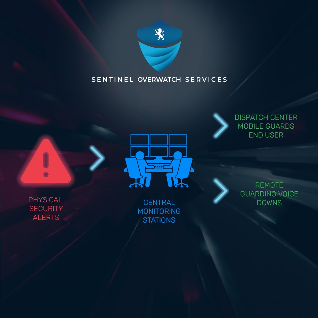SOS_Oregon's tweet photo. Sentinel Overwatch Services, is here to change the game of security for the safety of:

✅Your family in residential areas
✅Children in schools and colleges
✅Patients in hospitals
✅The whole public in areas open to all like malls, religious centres etc.

📲503-888-6258

#ai https://t.co/H7J9MFuIYu