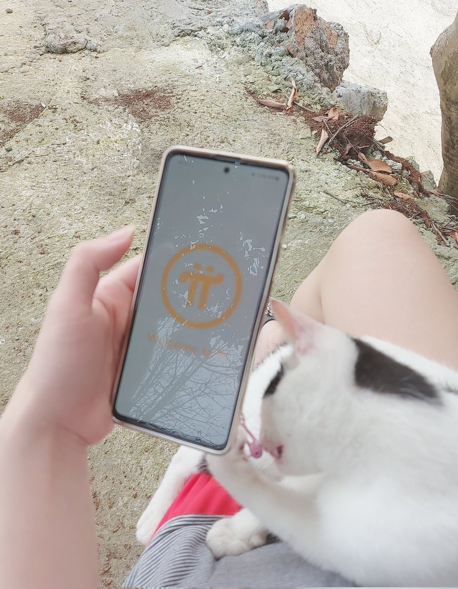 Đậu Đậu tweet media