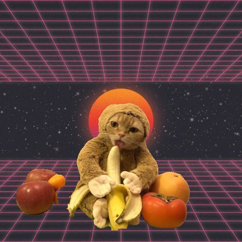 monkat_coin's tweet photo. nom nom nom nana nana nom nom

$MONKAT https://t.co/RLjfNpUkSZ