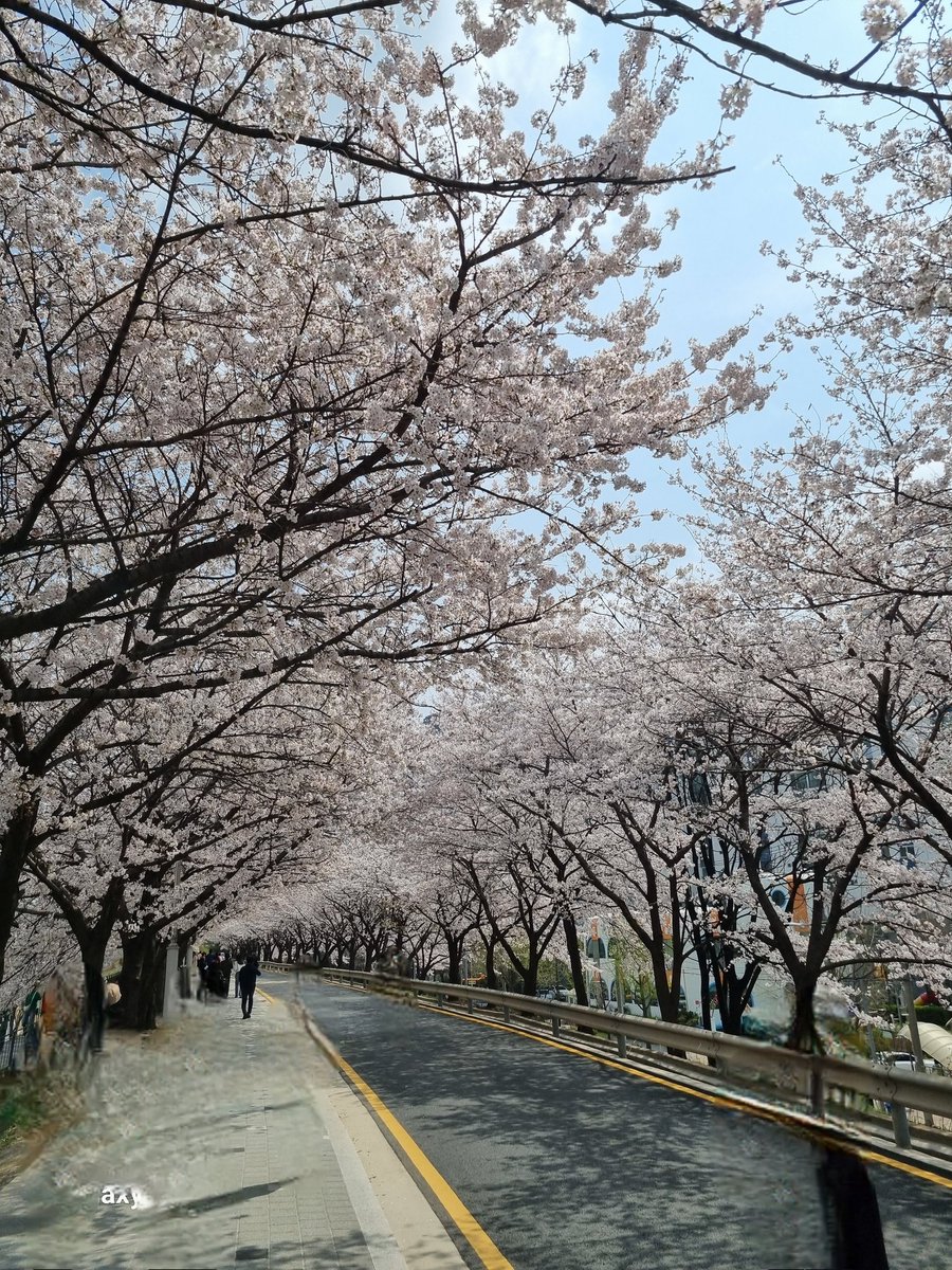 퇴근하고 싶다아아