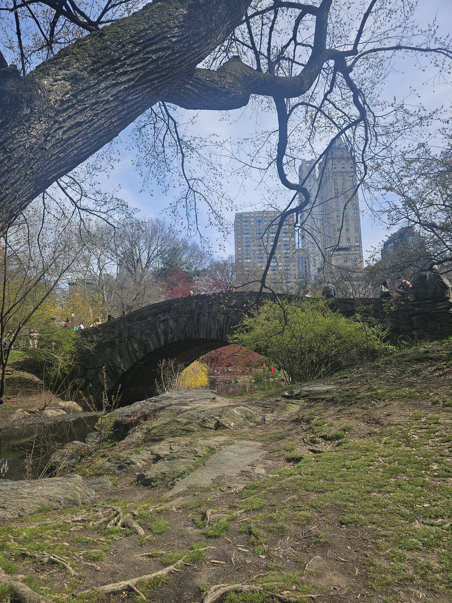 tvshows_addict1's tweet photo. Do you guys recognize this bridge ?
#svu #lawandordersvu #nbcsvu https://t.co/3KTdfH9RGC