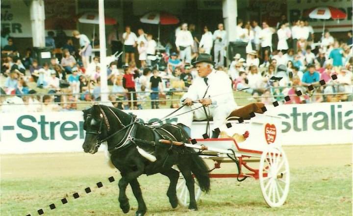 JohnTheMaestro's tweet photo. @oats_and So true, Mr Keir was a good friend of my grandfather, they both showed at RES at Moore Park.
#HighlyRespected Harness Exhibitors https://t.co/waWknpfnyZ