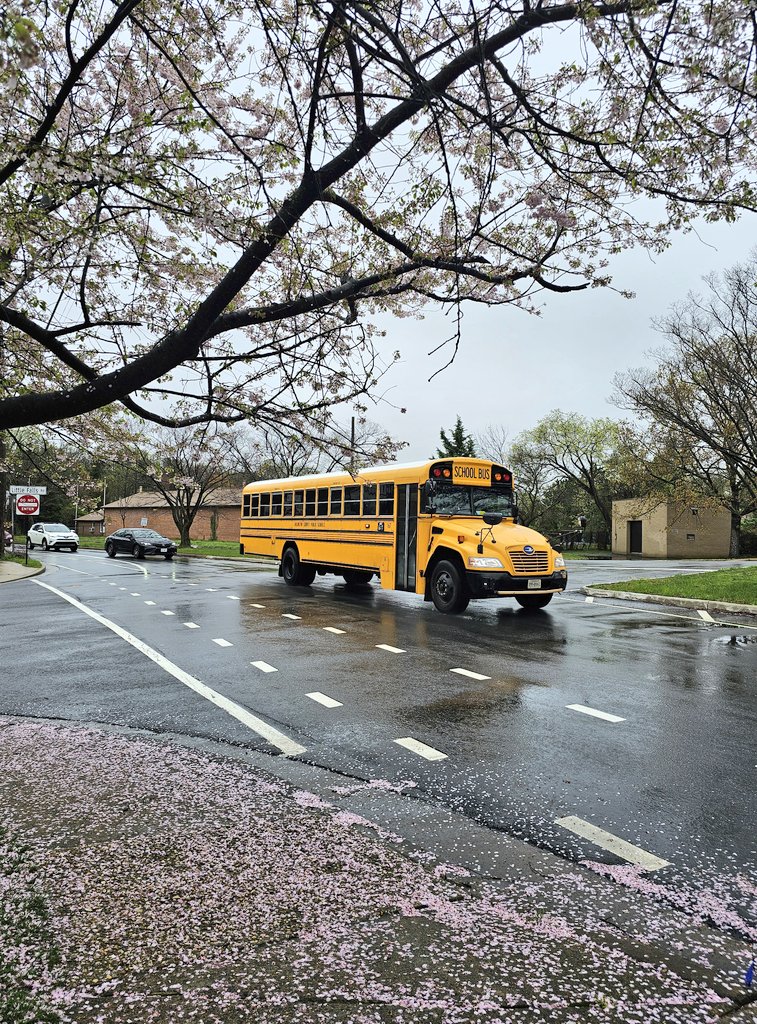 Şu sarı otobüsleri görünce insanın okula gidesi geliyor 🤭