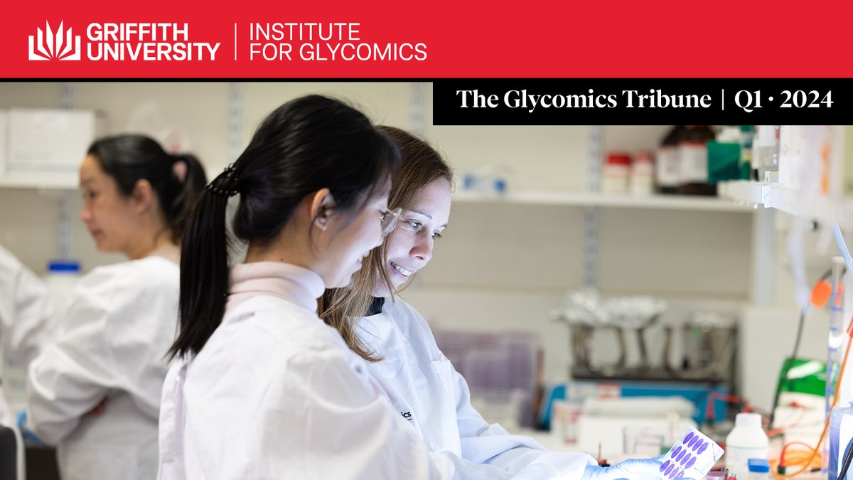 The latest issue of our @GlycoGriffith quarterly newsletter, The Glycomics Tribune, is out now: bit.ly/3PP8gmp We hope you enjoy this update on our latest news, research projects, events, and special achievements!