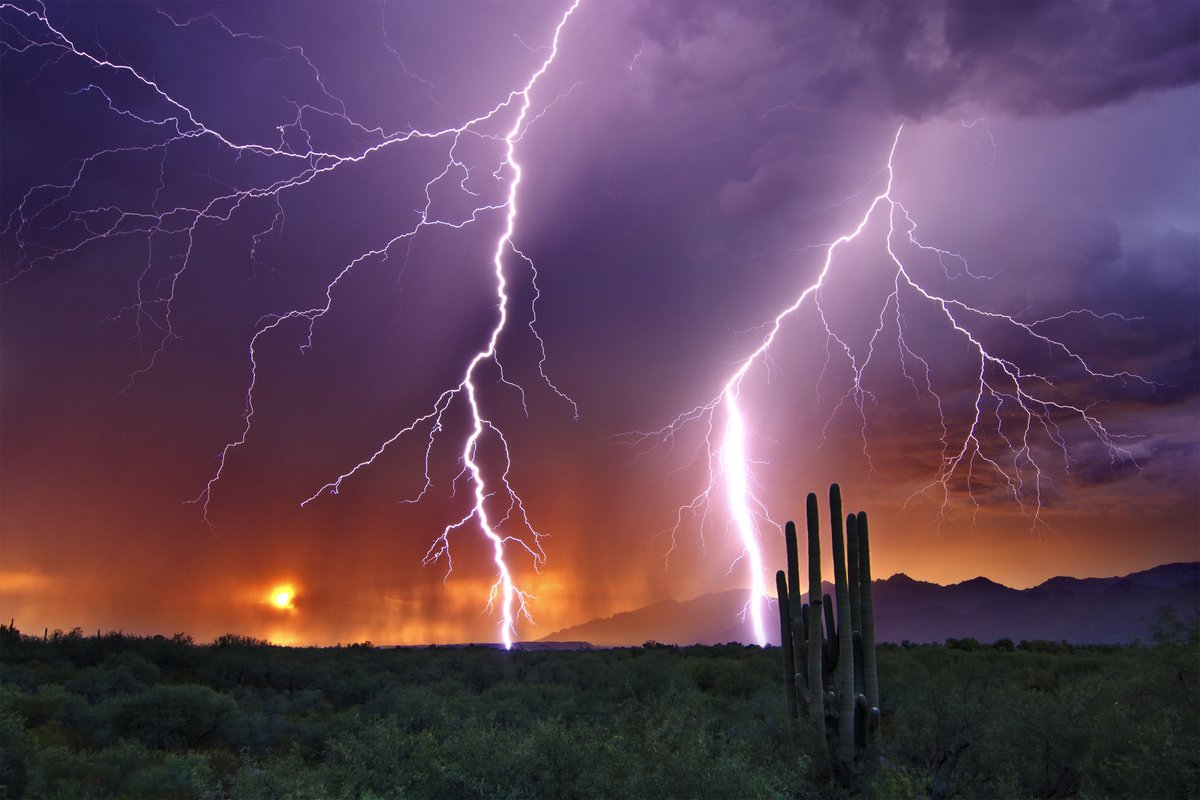 Now that's the way to end a day.

(Credit: saguaropictures on Shutterbug -- I understand he sat for days hoping for this shot)