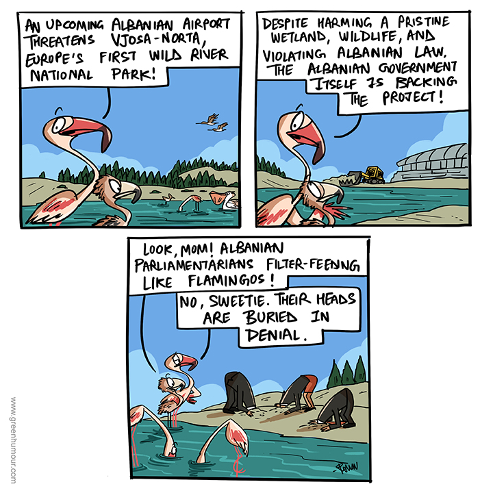 All is Norta okay at Vjosa Norta, #Albania Follow and support @PPNEA for more. Comic for @dw_environment instagram.com/dw_environment/ #Albania #Vjosa #flamingos #wildlifesonservation #rivers #Europe Join my newsletter: greenhumour.substack.com