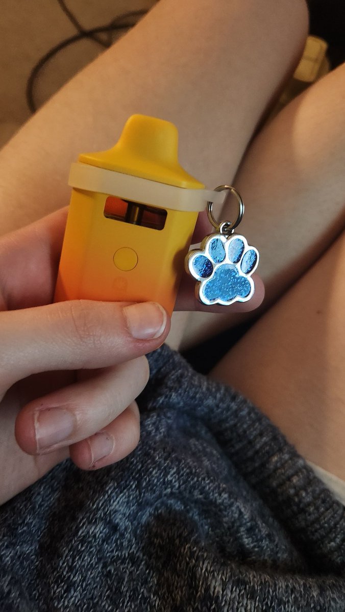 fiadhoe's tweet photo. broo wtf my plug gave me the puppy weed 😭😭😭 https://t.co/I2yUVSnq8N