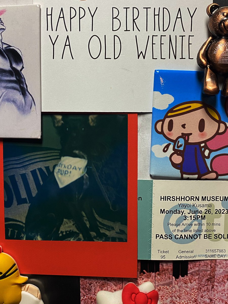 timekompression's tweet image. Celebrated Marco’s first birthday today 🥺 I legitimately cannot believe he used to that small and now he’s a very tall little guy……….