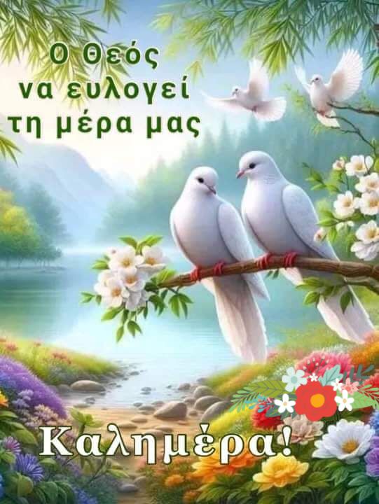 mpampisp2's tweet image. Καλημέρα μας κύριοι &amp;amp; κυρίες 🥰🥰⚘️⚘️⚘️☕️☕️☕️