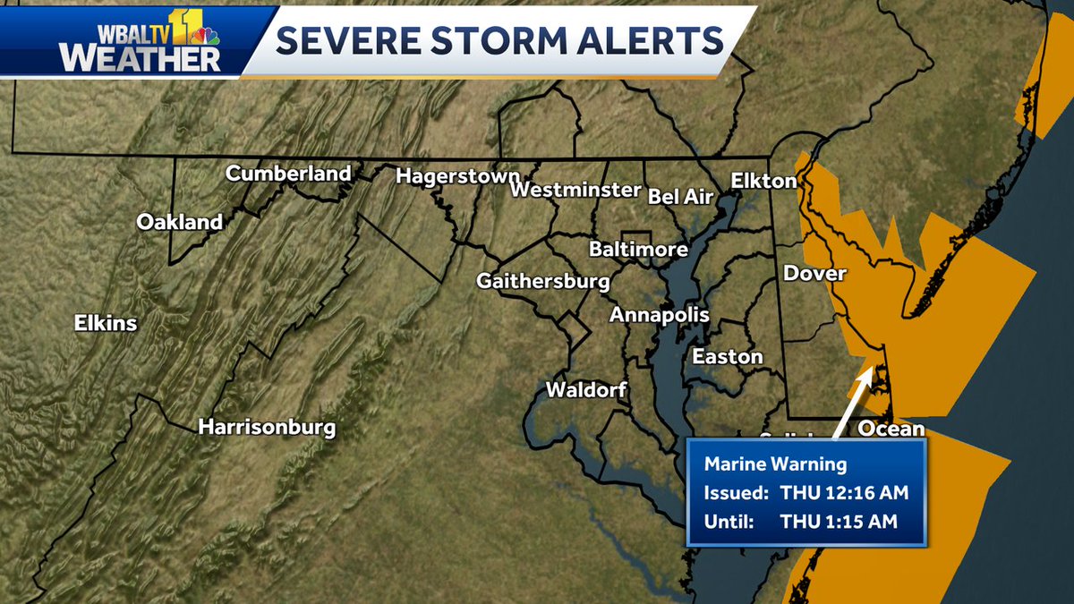 Chelsea Ingram tweet media